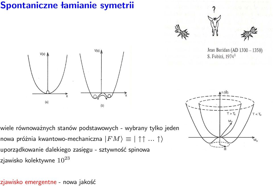 kwantowo-mechaniczna F M.