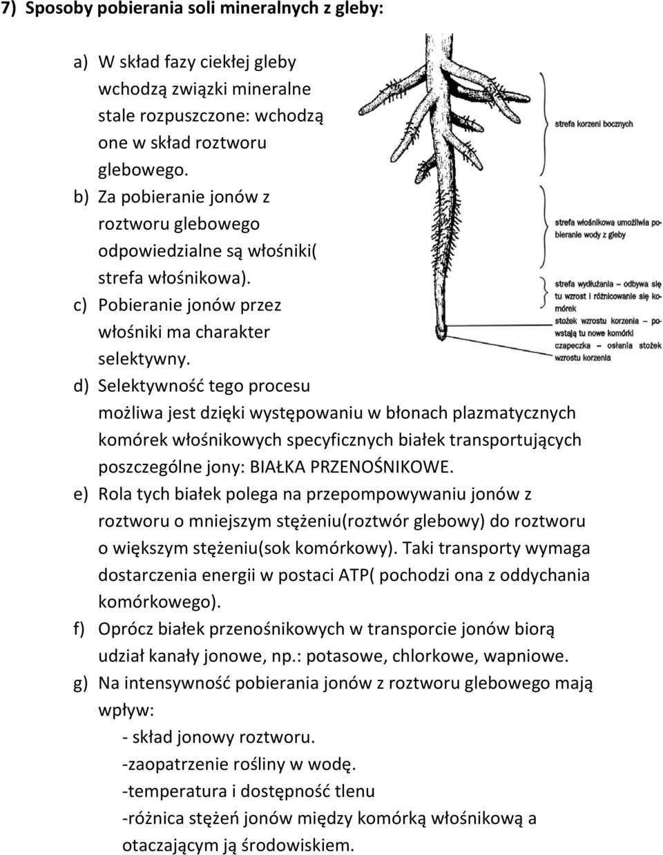 d) Selektywnośd tego procesu możliwa jest dzięki występowaniu w błonach plazmatycznych komórek włośnikowych specyficznych białek transportujących poszczególne jony: BIAŁKA PRZENOŚNIKOWE.