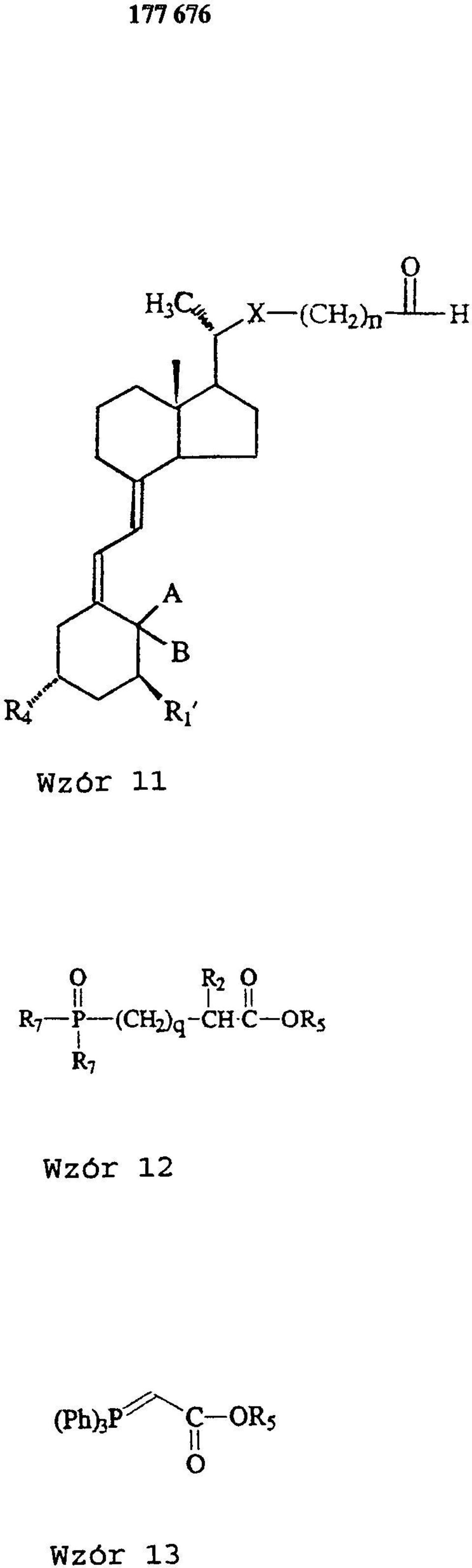 Wzór 12