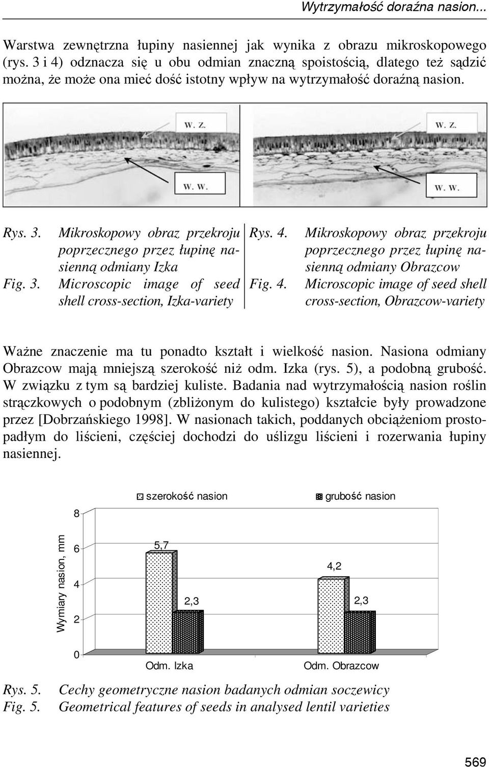 Fig. 3. Mikroskopowy obraz przekroju poprzecznego przez łupinę nasienną odmiany Izka Microscopic image of seed shell cross-section, Izka-variety Rys. 4.