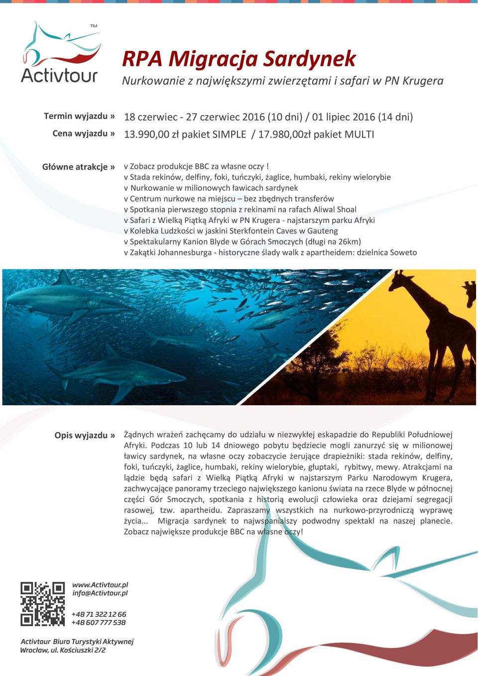 v Stada rekinów, delfiny, foki, tuńczyki, żaglice, humbaki, rekiny wielorybie v Nurkowanie w milionowych ławicach sardynek v Centrum nurkowe na miejscu bez zbędnych transferów v Spotkania pierwszego