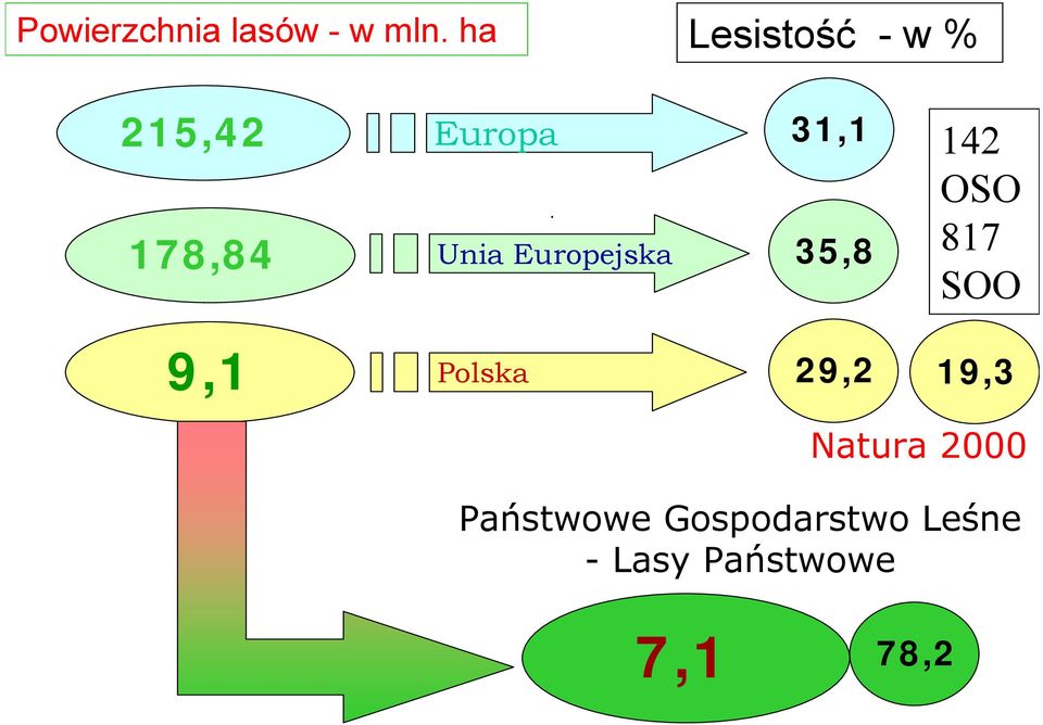 142 OSO 817 SOO 9,1 Polska 29,2 19,3 Natura 2000