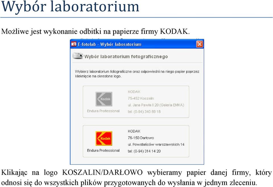 Klikając na logo KOSZALIN/DARŁOWO wybieramy papier