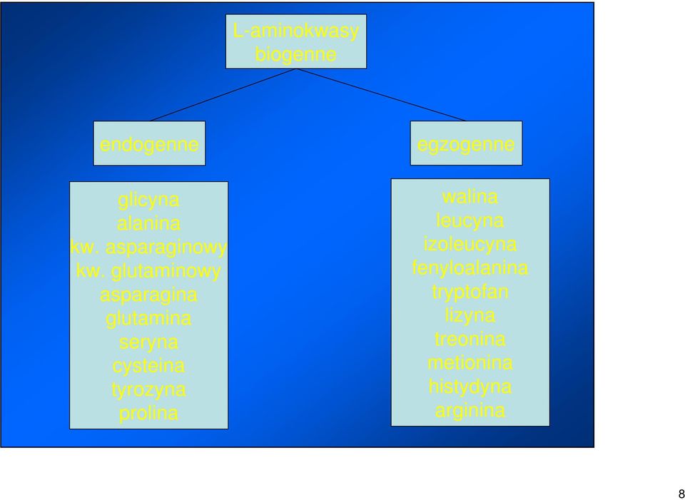glutaminowy asparagina glutamina seryna cysteina tyrozyna