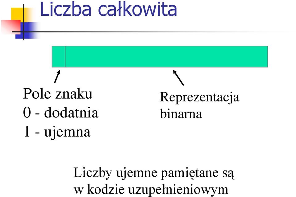 Reprezentacja binarna Liczby