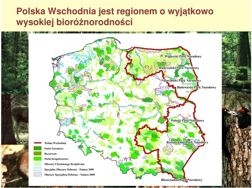 Sposoby minimalizowania konfliktów pomiędzy ochroną przyrody a