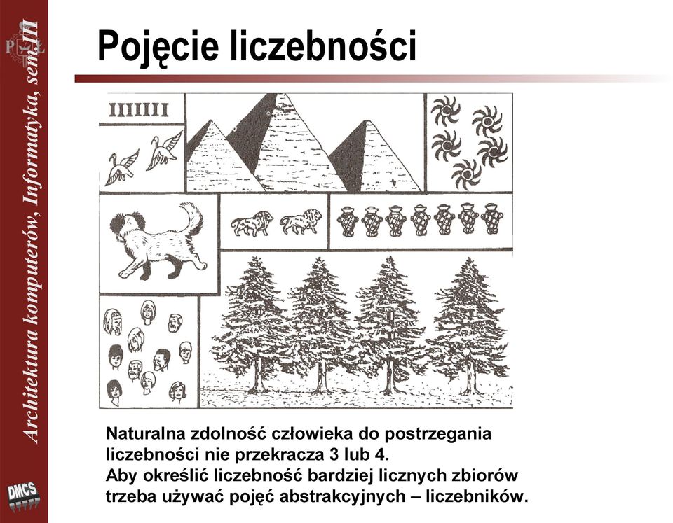 4. Aby określić liczebność bardziej licznych