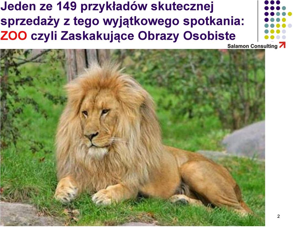 wyjątkowego spotkania: ZOO