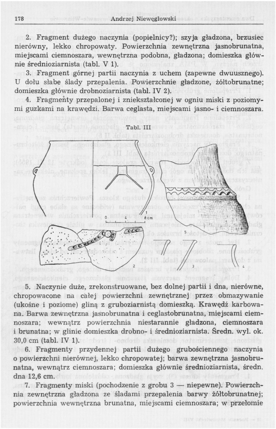 Fragment górnej partii naczynia z uchem (zapewne dwuusznego). U dołu słabe ślady przepalenia. Powierzchnie gładzone, żółtobrunatne; domieszka głównie drobnoziarnista (tabl. IV 2). 4.