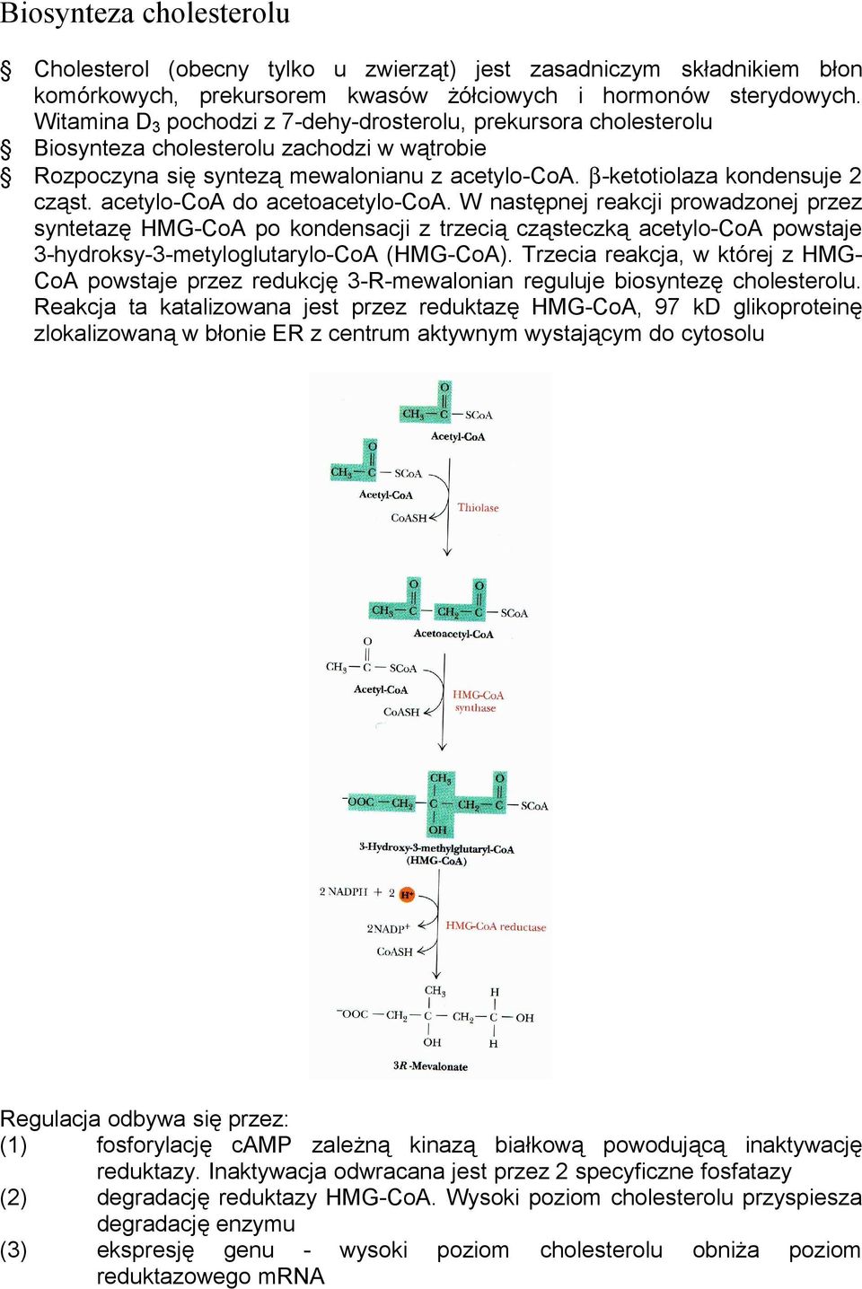 acetylo-coa do acetoacetylo-coa. W nastę pnej reakcji prowadzonej przez syntetazę HMG-CoA po kondensacji z trzecią cząsteczką acetylo-coa powstaje 3-hydroksy-3-metyloglutarylo-CoA (HMG-CoA).