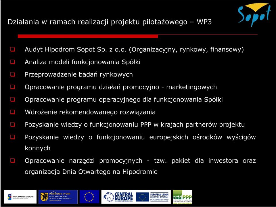 ażowego WP3 Audyt Hipodrom Sopot Sp. z o.o. (Organizacyjny, rynkowy, finansowy) Analiza modeli funkcjonowania Spółki Przeprowadzenie badań rynkowych