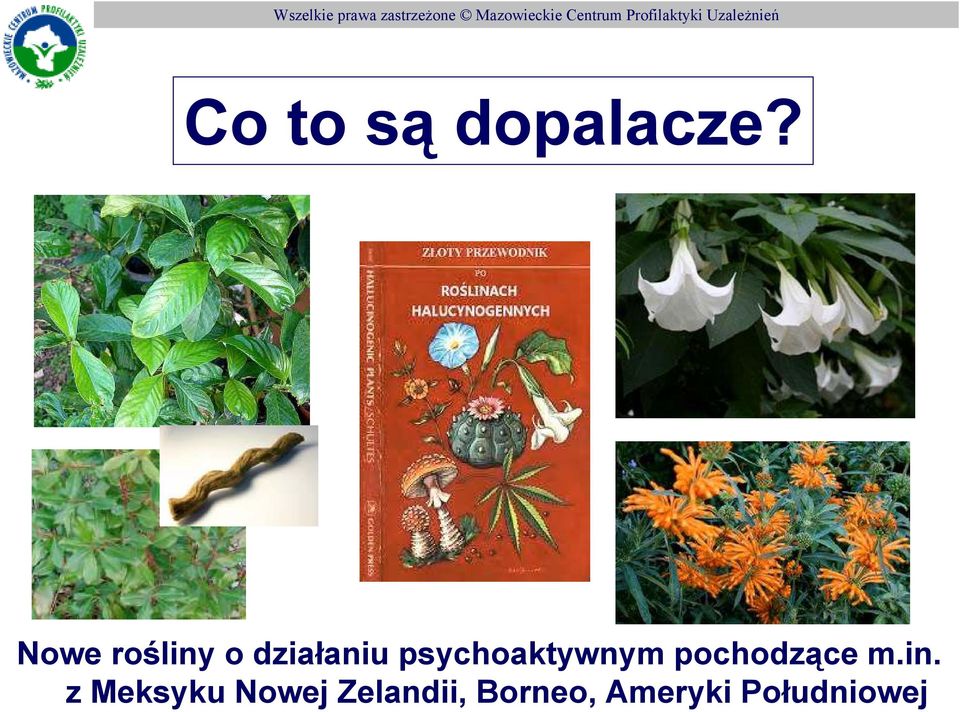 psychoaktywnym pochodzące m.in.