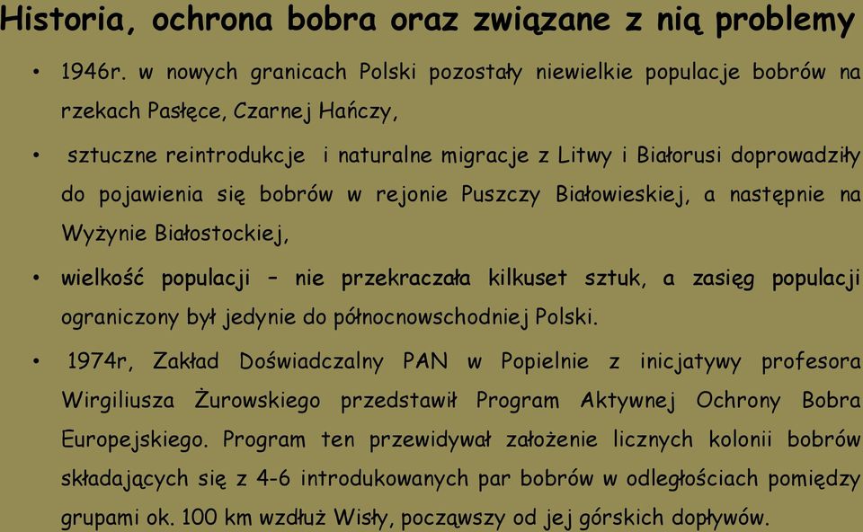 bobrów w rejonie Puszczy Białowieskiej, a następnie na Wyżynie Białostockiej, wielkość populacji nie przekraczała kilkuset sztuk, a zasięg populacji ograniczony był jedynie do północnowschodniej