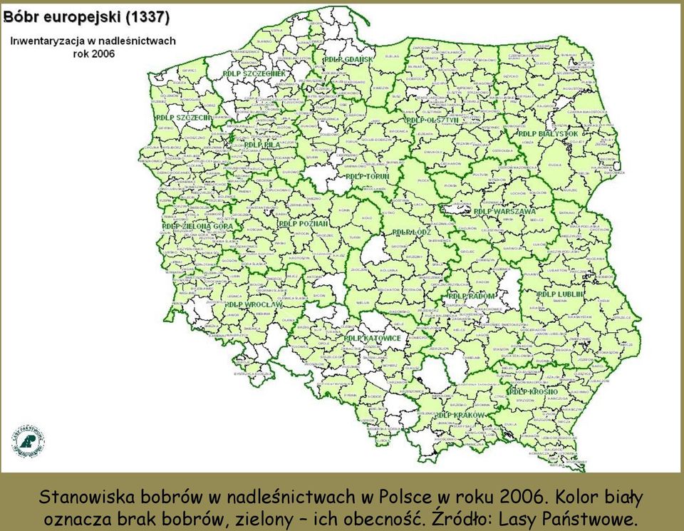 2006. Kolor biały oznacza brak