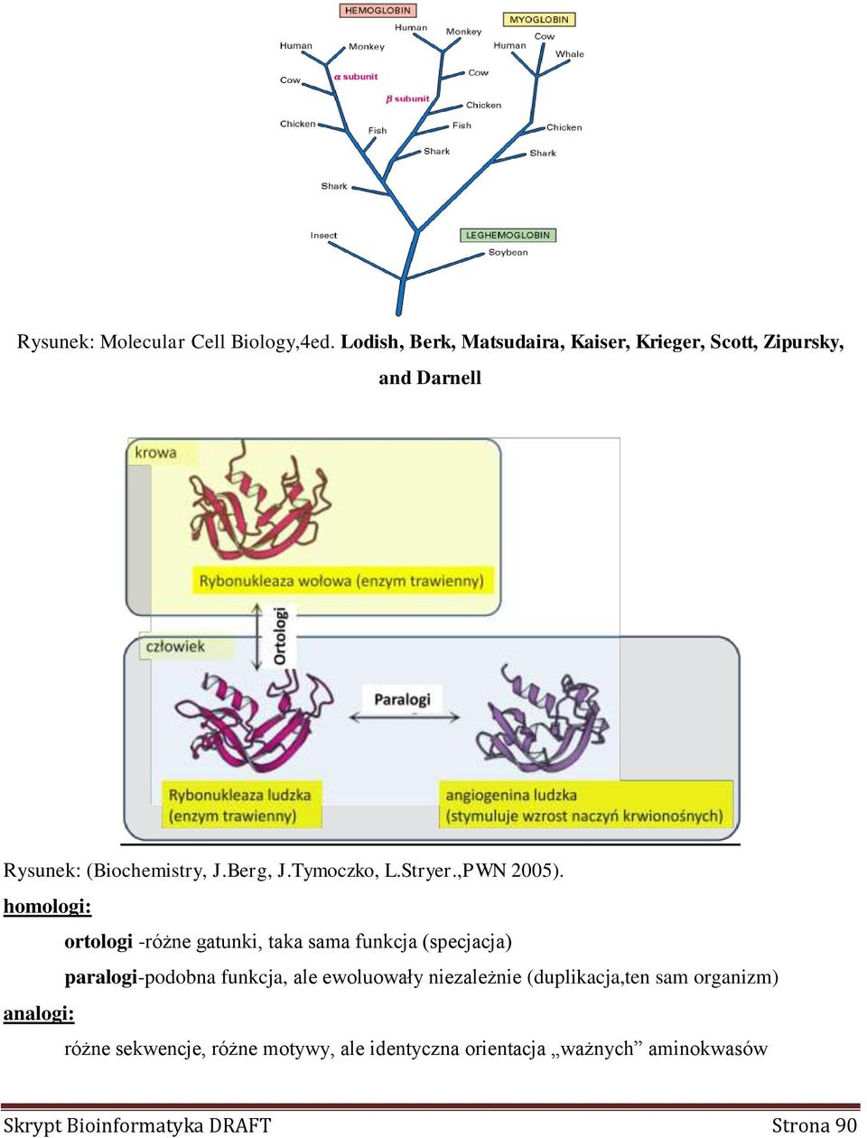 Tymoczko, L.Stryer.,PWN 2005).