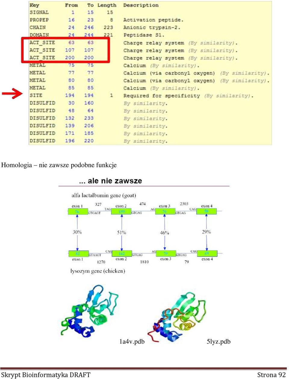 pdb 5lyz.