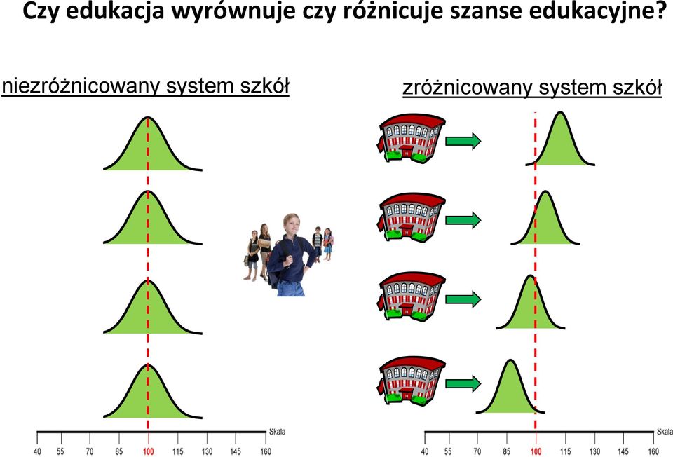 niezróżnicowany system