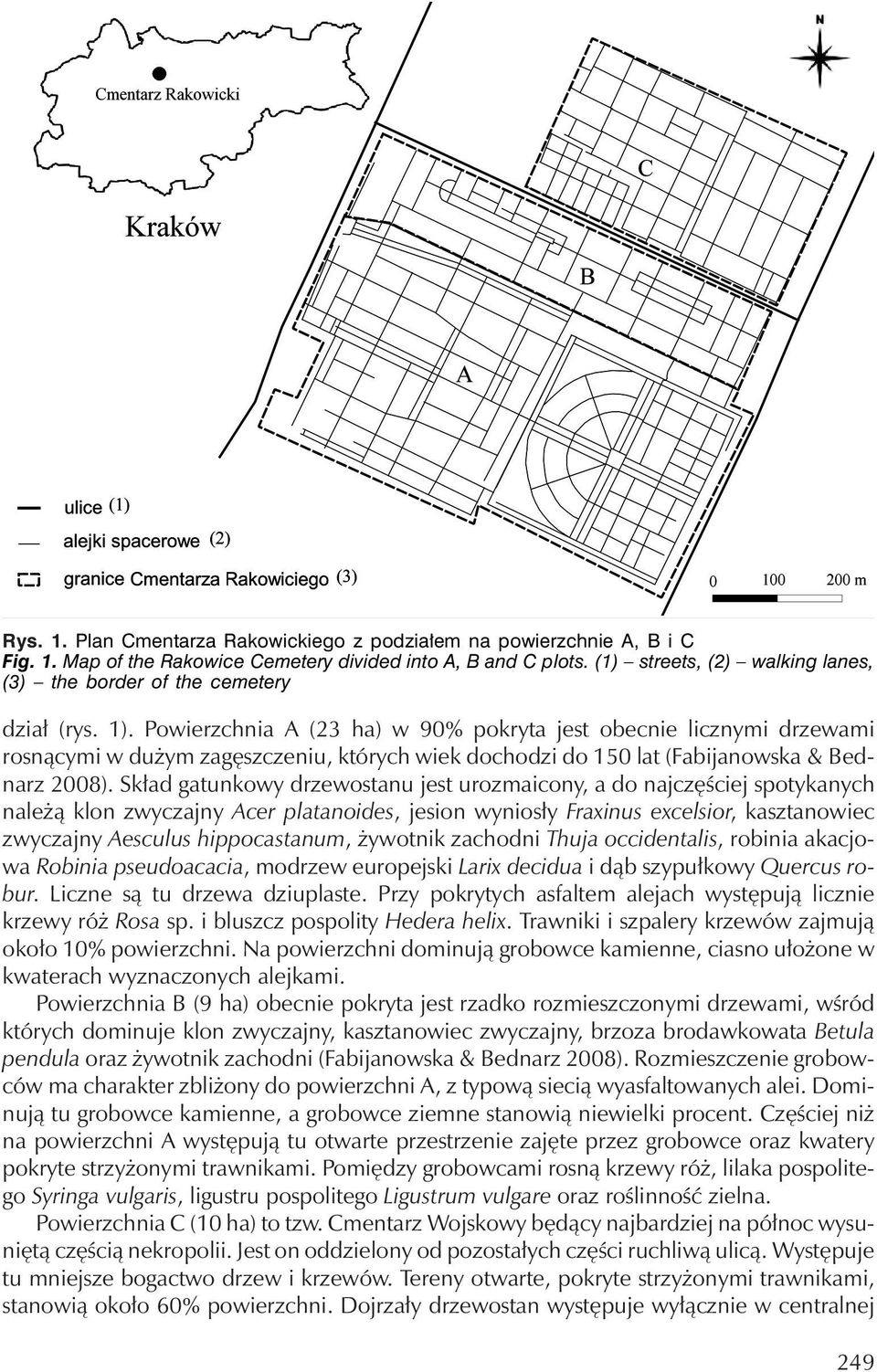 Powierzchnia A (23 ha) w 90% pokryta jest obecnie licznymi drzewami rosnącymi w dużym zagęszczeniu, którychwiek dochodzi do 150 lat (Fabijanowska & Bednarz 2008).