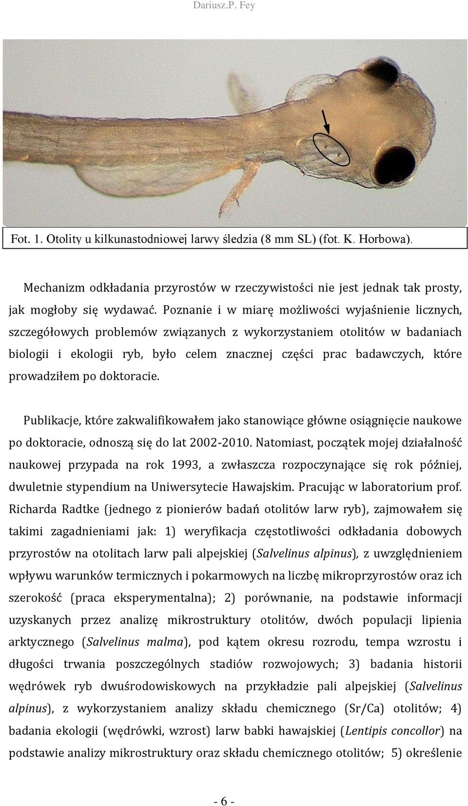 prowadziłem po doktoracie. Publikacje, które zakwalifikowałem jako stanowiące główne osiągnięcie naukowe po doktoracie, odnoszą się do lat 2002-2010.