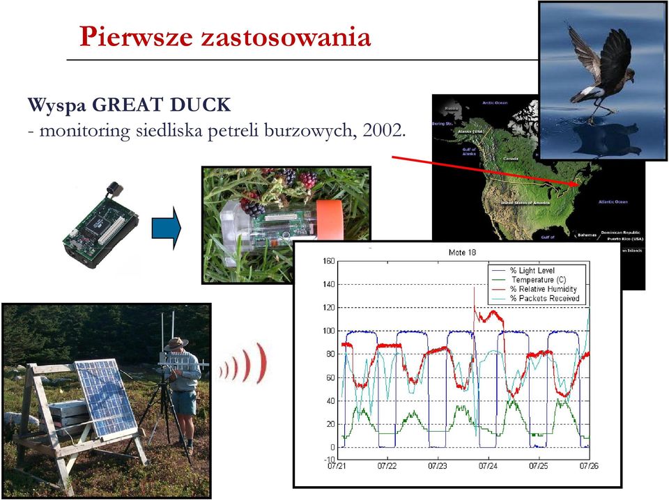 monitoring siedliska