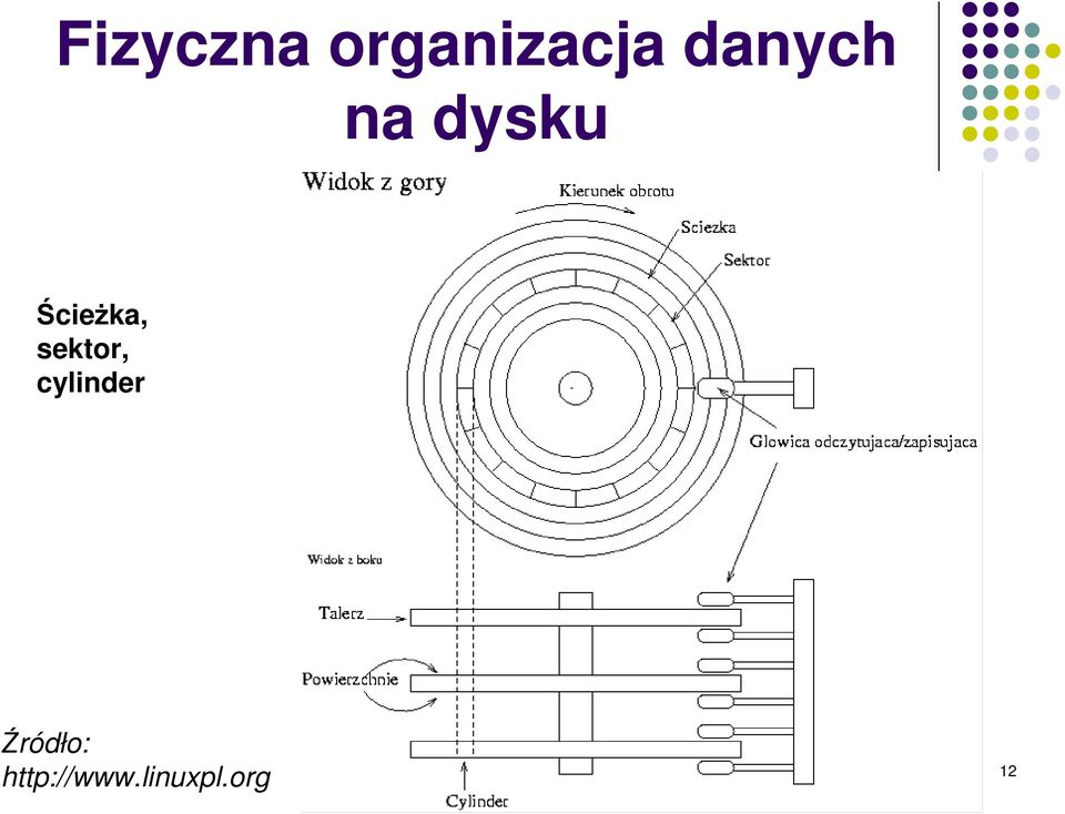 Ścieżka, sektor,