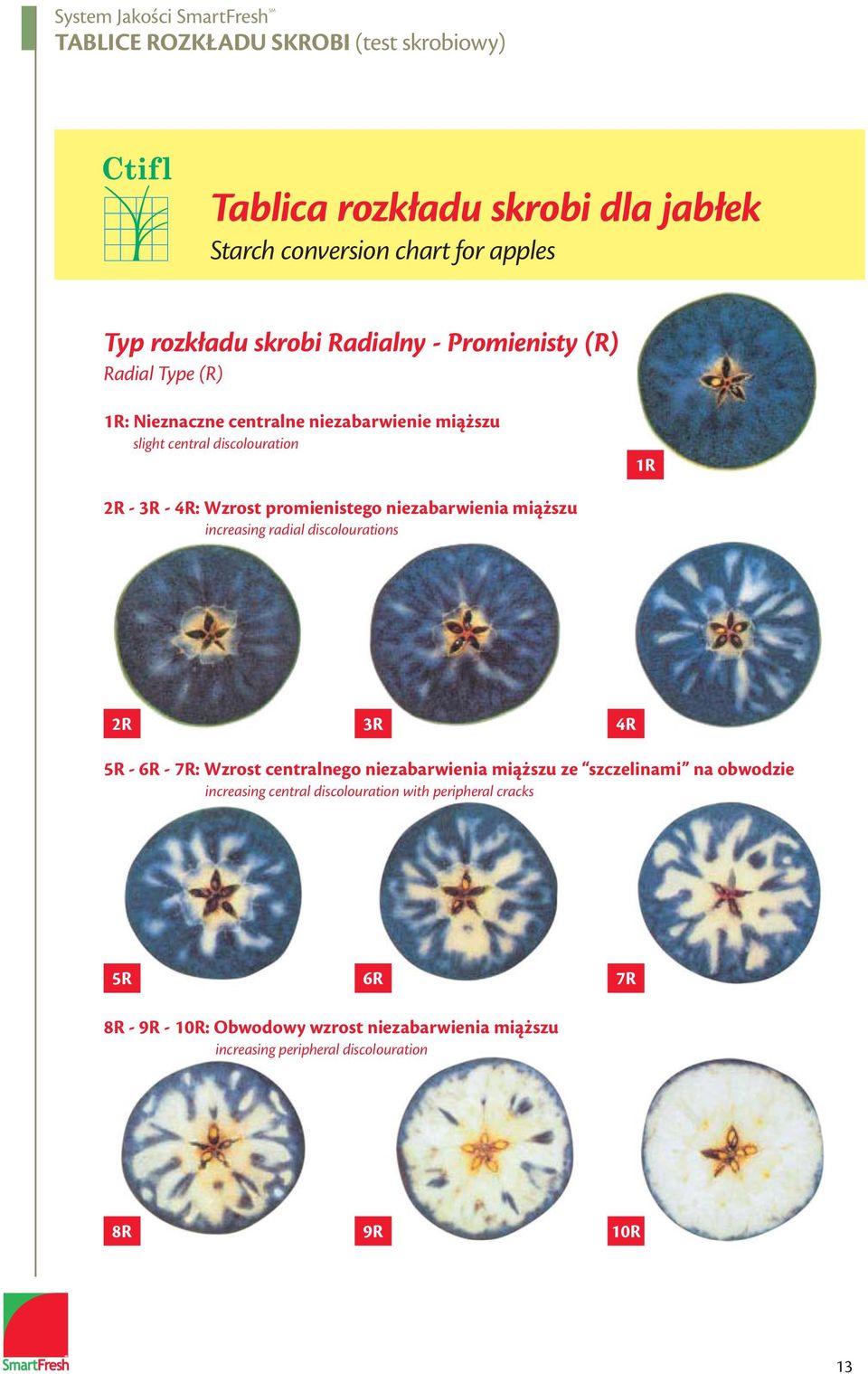 niezabarwienia miąższu increasing radial discolourations 2R 3R 4R 5R - 6R - 7R: Wzrost centralnego niezabarwienia miąższu ze szczelinami na obwodzie