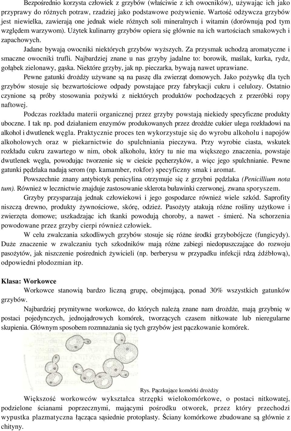 Użytek kulinarny grzybów opiera się głównie na ich wartościach smakowych i zapachowych. Jadane bywają owocniki niektórych grzybów wyższych. Za przysmak uchodzą aromatyczne i smaczne owocniki trufli.