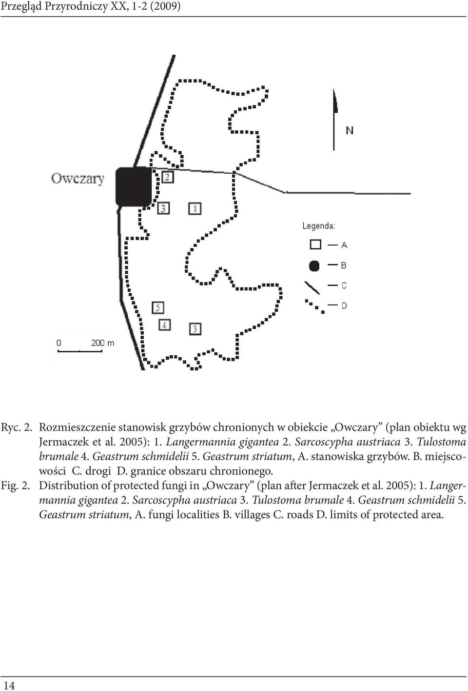 drogi D. granice obszaru chronionego. Fig. 2. Distribution of protected fungi in Owczary (plan after Jermaczek et al. 2005): 1. Langermannia gigantea 2.