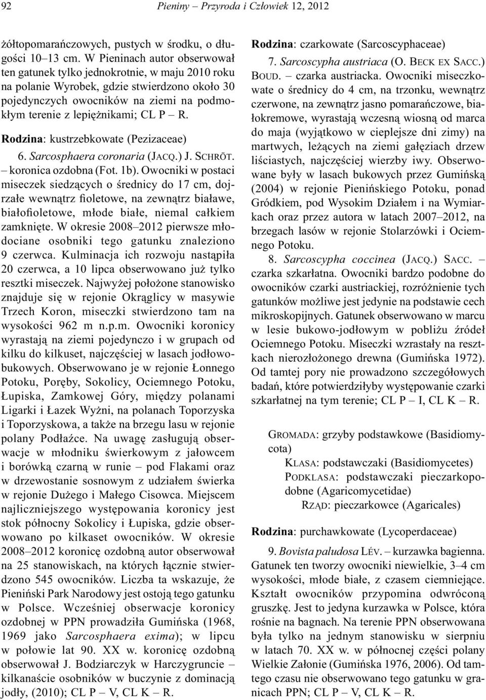 R. Rodzina: kustrzebkowate (Pezizaceae) 6. Sarcosphaera coronaria (JACQ.) J. SCHRÖT. koronica ozdobna (Fot. 1b).