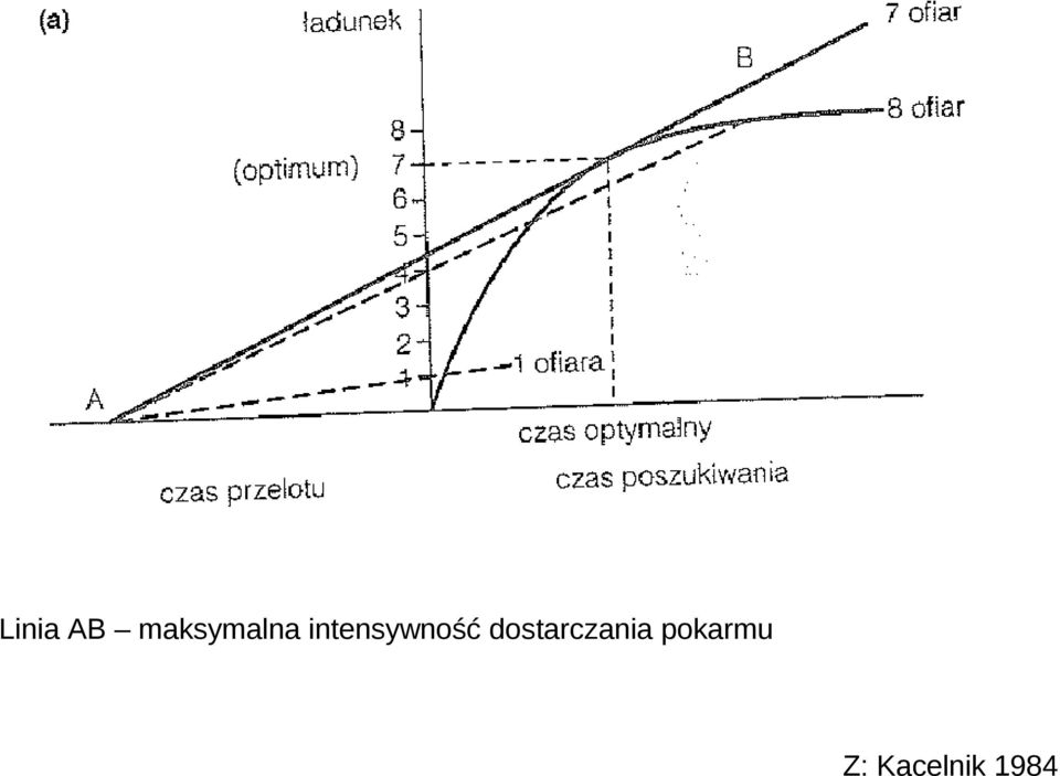 intensywność