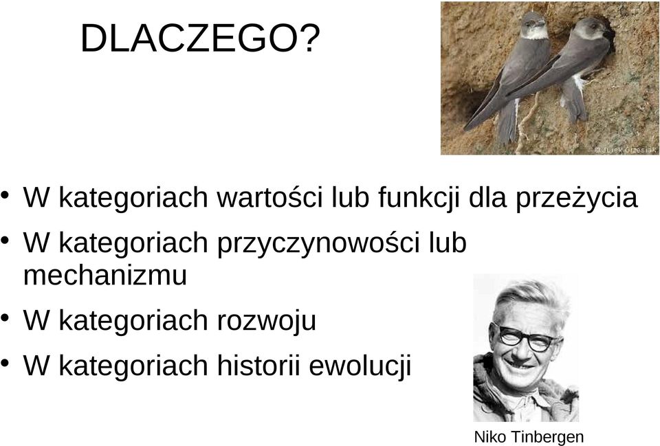 przeżycia W kategoriach przyczynowości lub