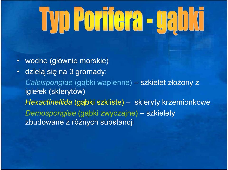 (sklerytów) Hexactinellida (gąbki szkliste) skleryty