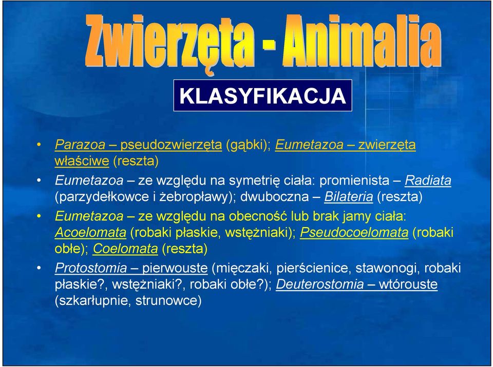 jamy ciała: Acoelomata (robaki płaskie, wstęŝniaki); Pseudocoelomata (robaki obłe); Coelomata (reszta) Protostomia