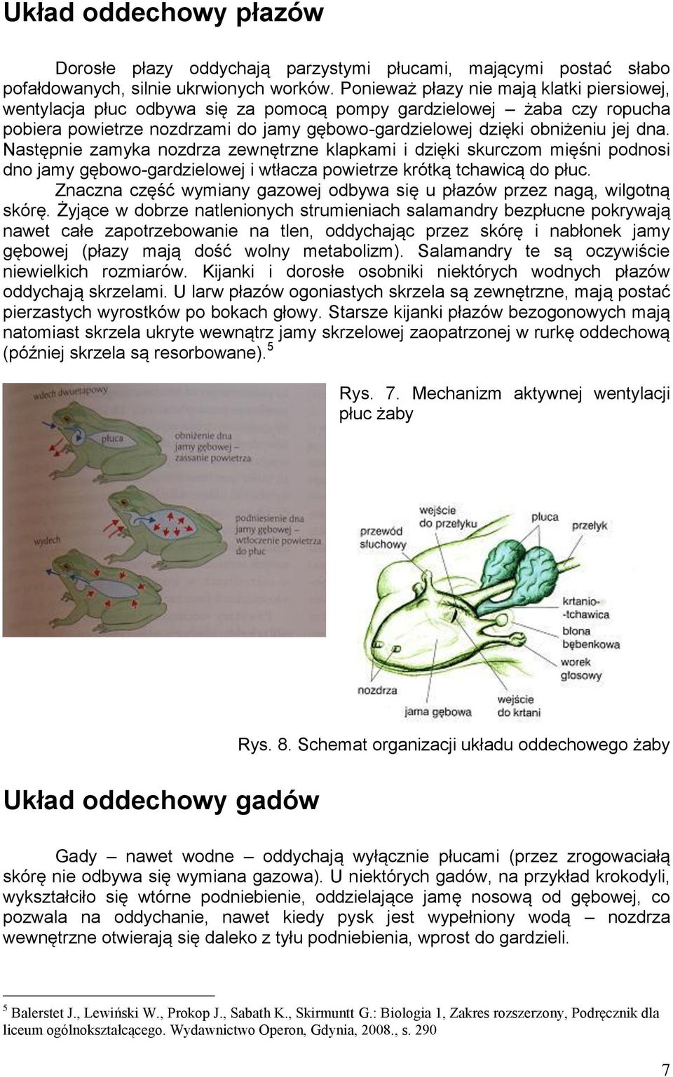 Następnie zamyka nozdrza zewnętrzne klapkami i dzięki skurczom mięśni podnosi dno jamy gębowo-gardzielowej i wtłacza powietrze krótką tchawicą do płuc.