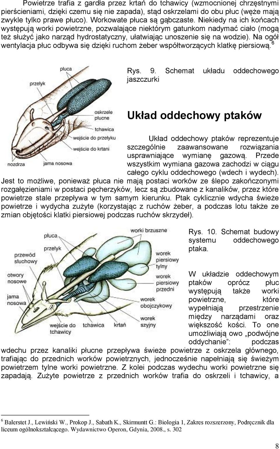 Niekiedy na ich końcach występują worki powietrzne, pozwalające niektórym gatunkom nadymać ciało (mogą też służyć jako narząd hydrostatyczny, ułatwiając unoszenie się na wodzie).