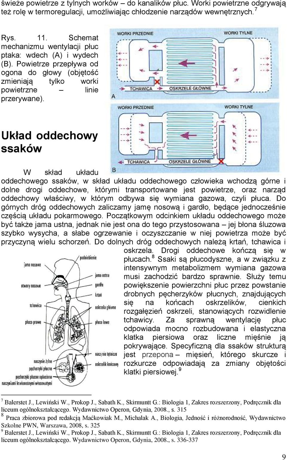 Układ oddechowy ssaków W skład układu oddechowego ssaków, w skład układu oddechowego człowieka wchodzą górne i dolne drogi oddechowe, którymi transportowane jest powietrze, oraz narząd oddechowy