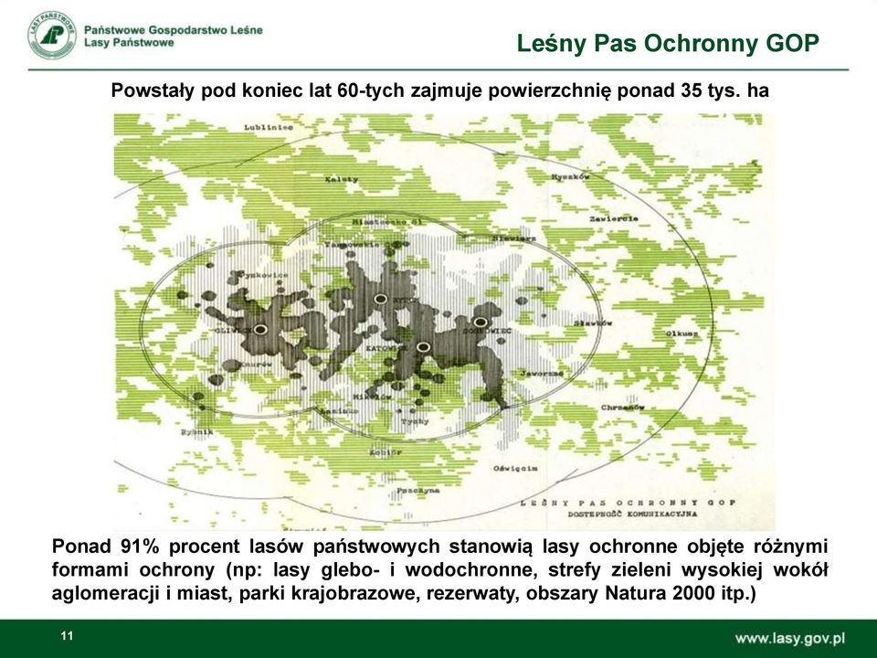 ha Ponad 91% procent lasów państwowych stanowią lasy ochronne objęte różnymi