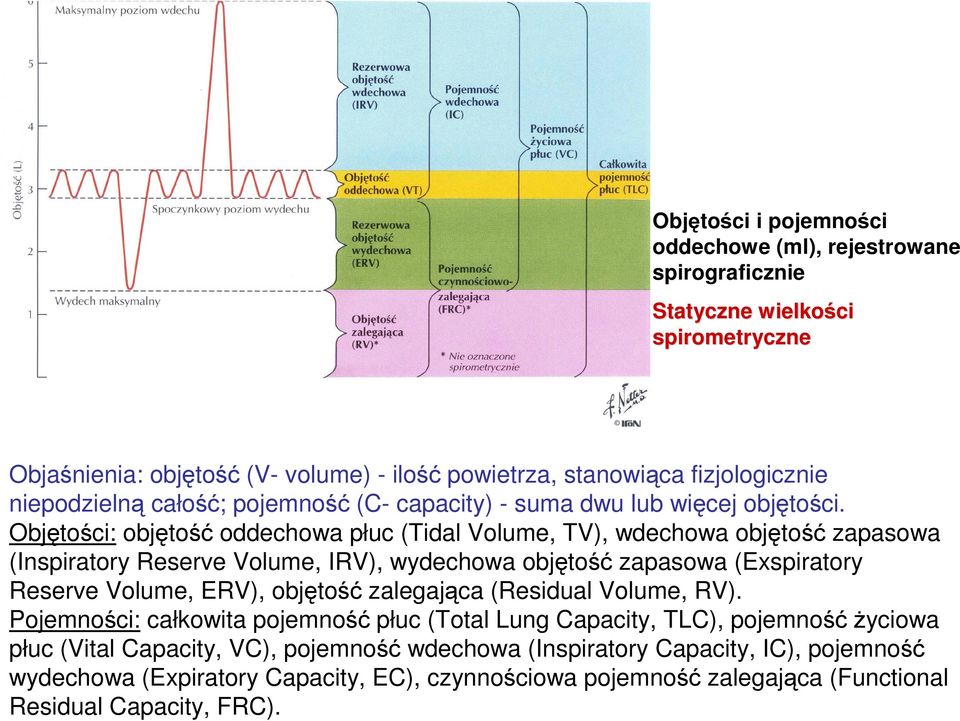 Objętości: objętość oddechowa płuc (Tidal Volume, TV), wdechowa objętość zapasowa (Inspiratory Reserve Volume, IRV), wydechowa objętość zapasowa (Exspiratory Reserve Volume, ERV), objętość