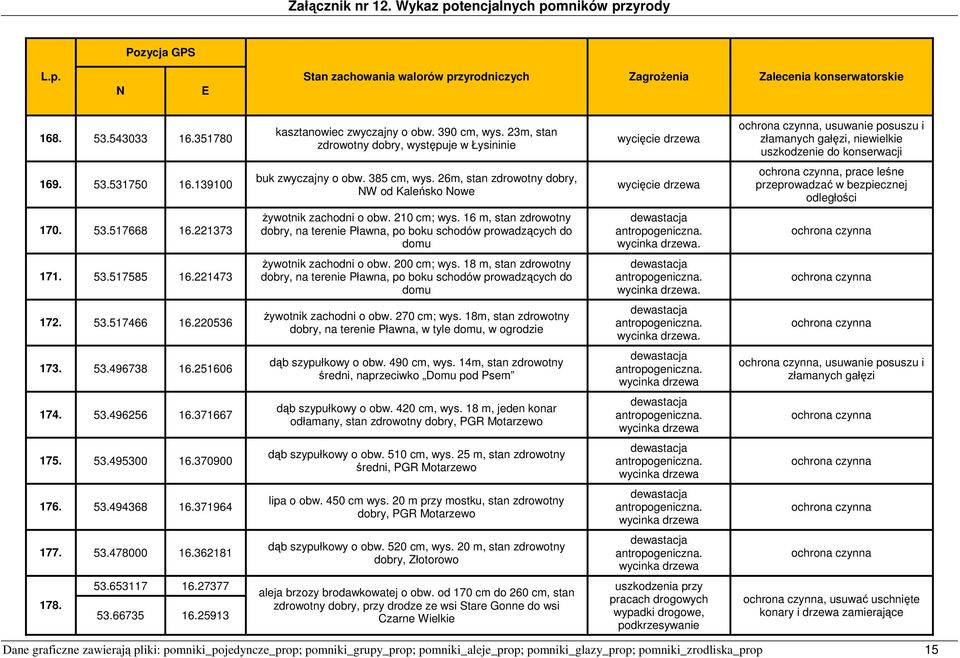 26m, stan zdrowotny dobry, W od Kaleńsko owe drzewa, prace leśne przeprowadzać w bezpiecznej odległości 170. 53.517668 16.221373 żywotnik zachodni o obw. 210 cm; wys.