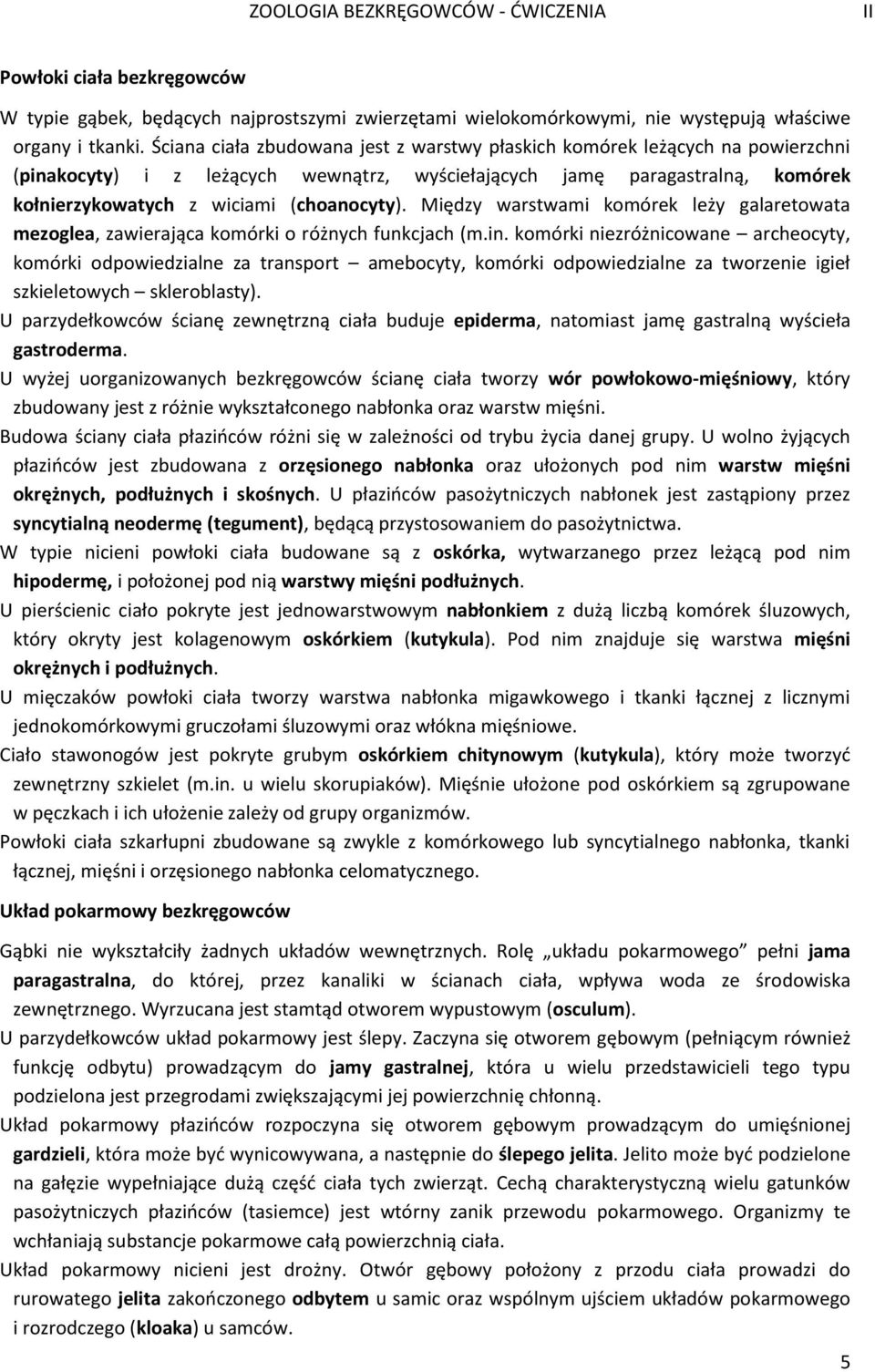 Między warstwami komórek leży galaretowata mezoglea, zawierająca komórki o różnych funkcjach (m.in.