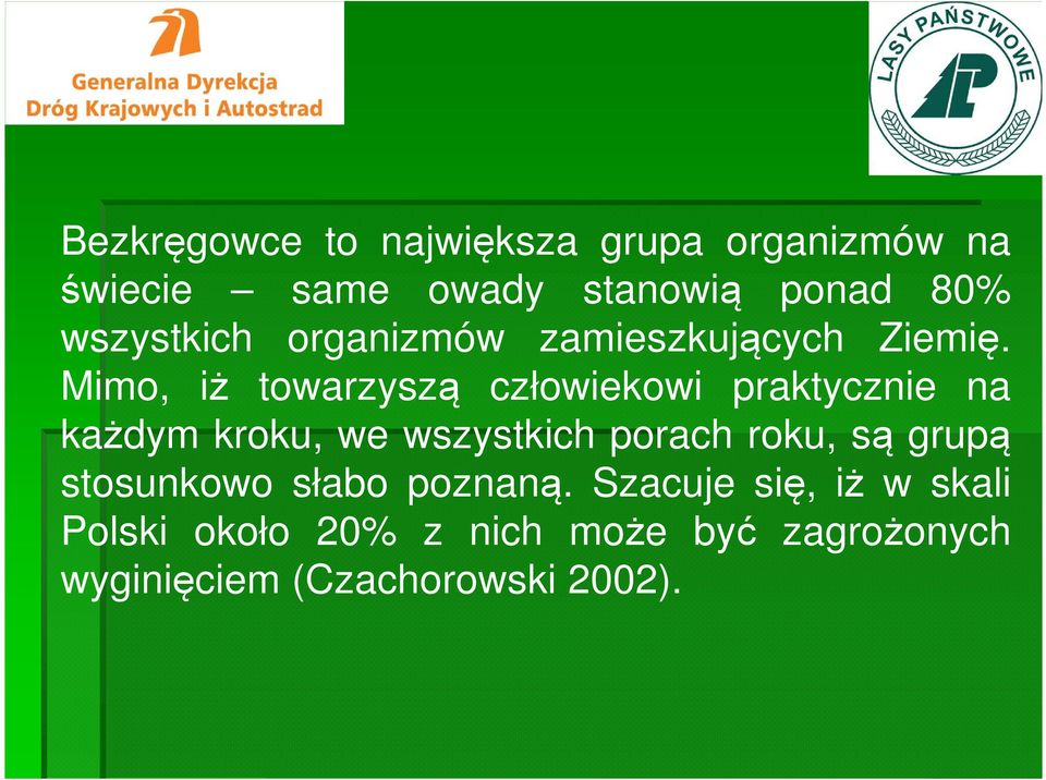 Mimo, iż towarzyszą człowiekowi praktycznie na każdym kroku, we wszystkich porach roku,