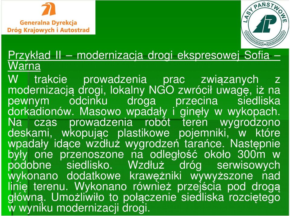 Na czas prowadzenia robót teren wygrodzono deskami, wkopując plastikowe pojemniki, w które wpadały idące wzdłuż wygrodzeń tarańce.