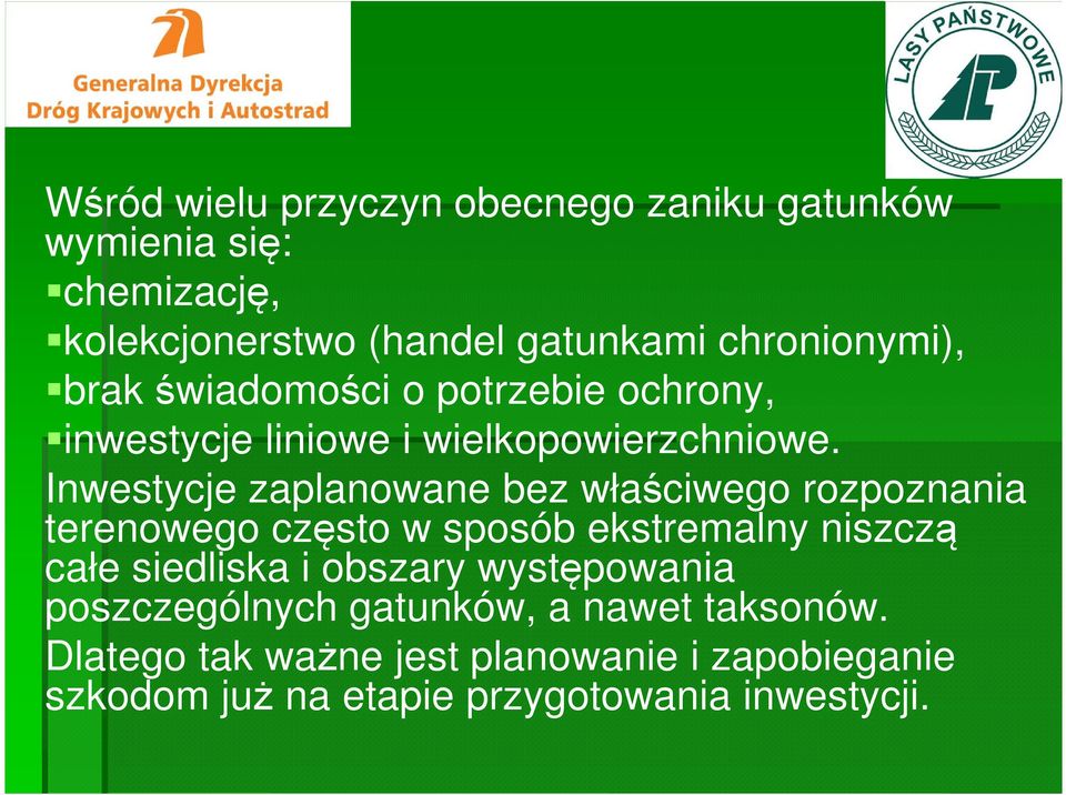 Inwestycje zaplanowane bez właściwego rozpoznania terenowego często w sposób ekstremalny niszczą całe siedliska i