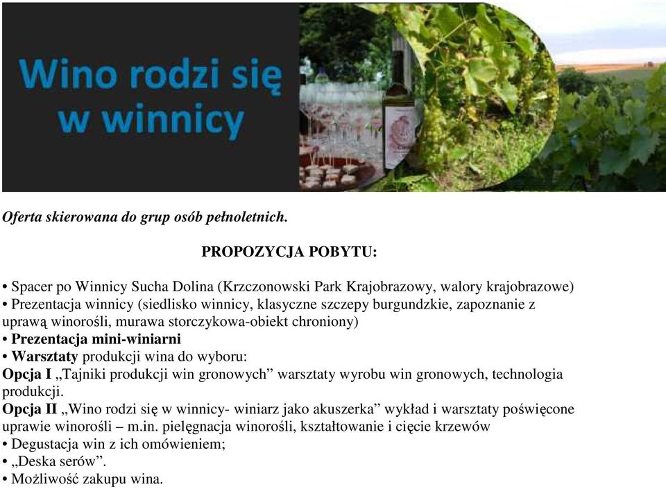 zapoznanie z uprawą winorośli, murawa storczykowa-obiekt chroniony) Prezentacja mini-winiarni Warsztaty produkcji wina do wyboru: Opcja I Tajniki produkcji win