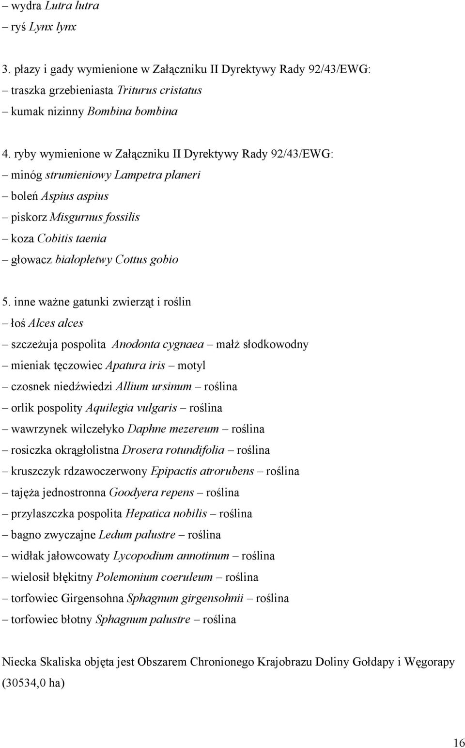 inne ważne gatunki zwierząt i roślin łoś Alces alces szczeżuja pospolita Anodonta cygnaea małż słodkowodny mieniak tęczowiec Apatura iris motyl czosnek niedźwiedzi Allium ursinum roślina orlik