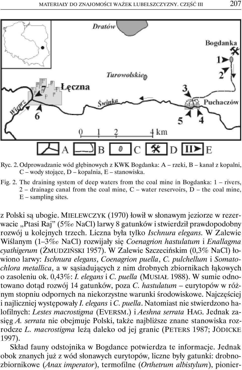 z Polski są ubogie. MIELEWCZYK (1970) łowił w słonawym jeziorze w rezerwacie Ptasi Raj (5 NaCl) larwy 8 gatunków i stwierdził prawdopodobny rozwój u kolejnych trzech.