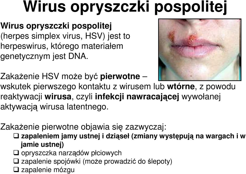 ZakaŜenie HSV moŝe być pierwotne wskutek pierwszego kontaktu z wirusem lub wtórne, z powodu reaktywacji wirusa, czyli infekcji