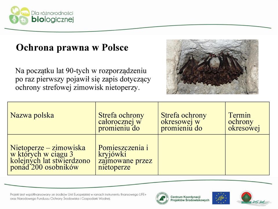 Nazwa polska Strefa ochrony całorocznej w promieniu do Nietoperze zimowiska w których w ciągu 3