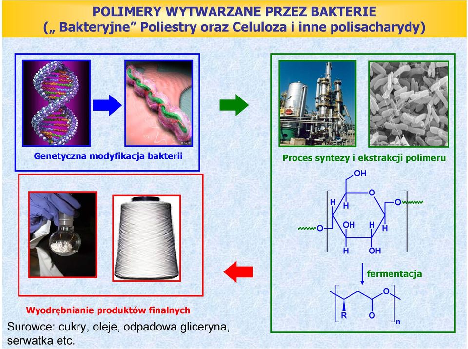 Proces syntezy i ekstrakcji polimeru fermentacja Wyodrębnianie
