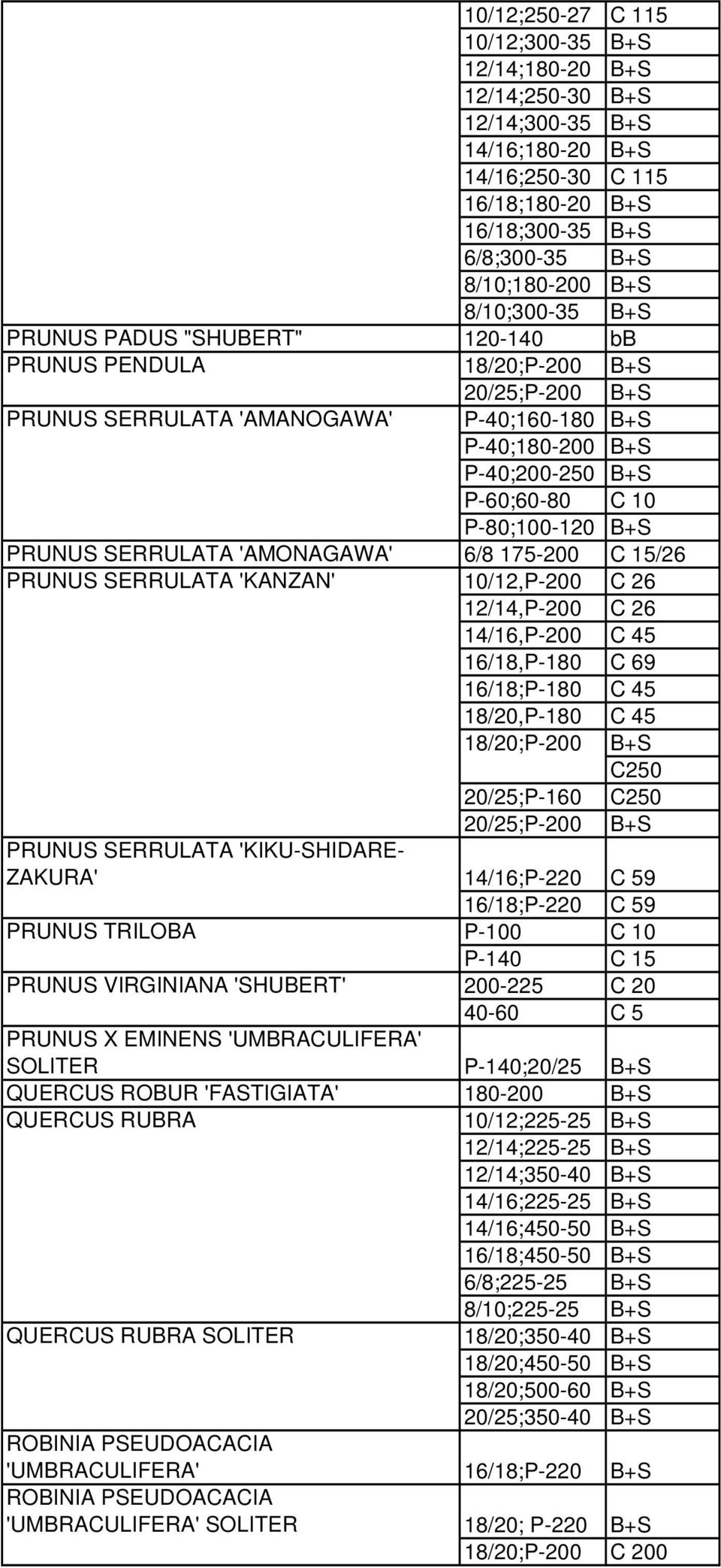 SERRULATA 'AMONAGAWA' 6/8 175-200 C 15/26 PRUNUS SERRULATA 'KANZAN' 10/12,P-200 12/14,P-200 14/16,P-200 C 45 16/18,P-180 16/18;P-180 C 45 18/20,P-180 C 45 18/20;P-200 B+S C250 20/25;P-160 C250